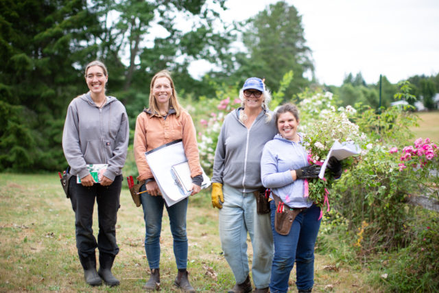 Team Floret visits Anne Belovich's rose gardens