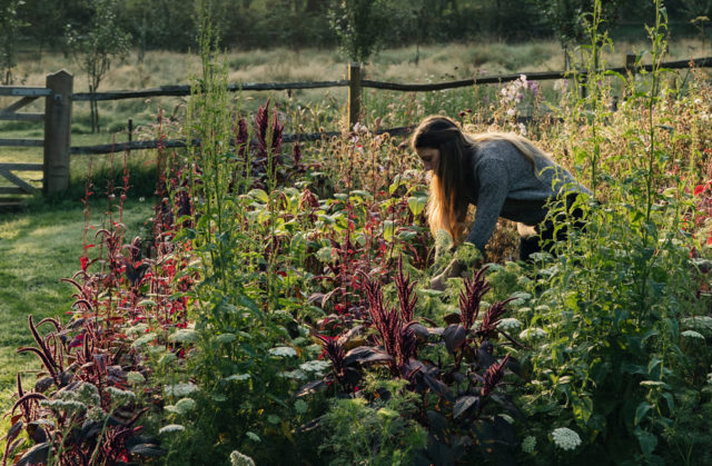 Milli Proust working in the field