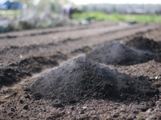 Flower field being prepared with compost