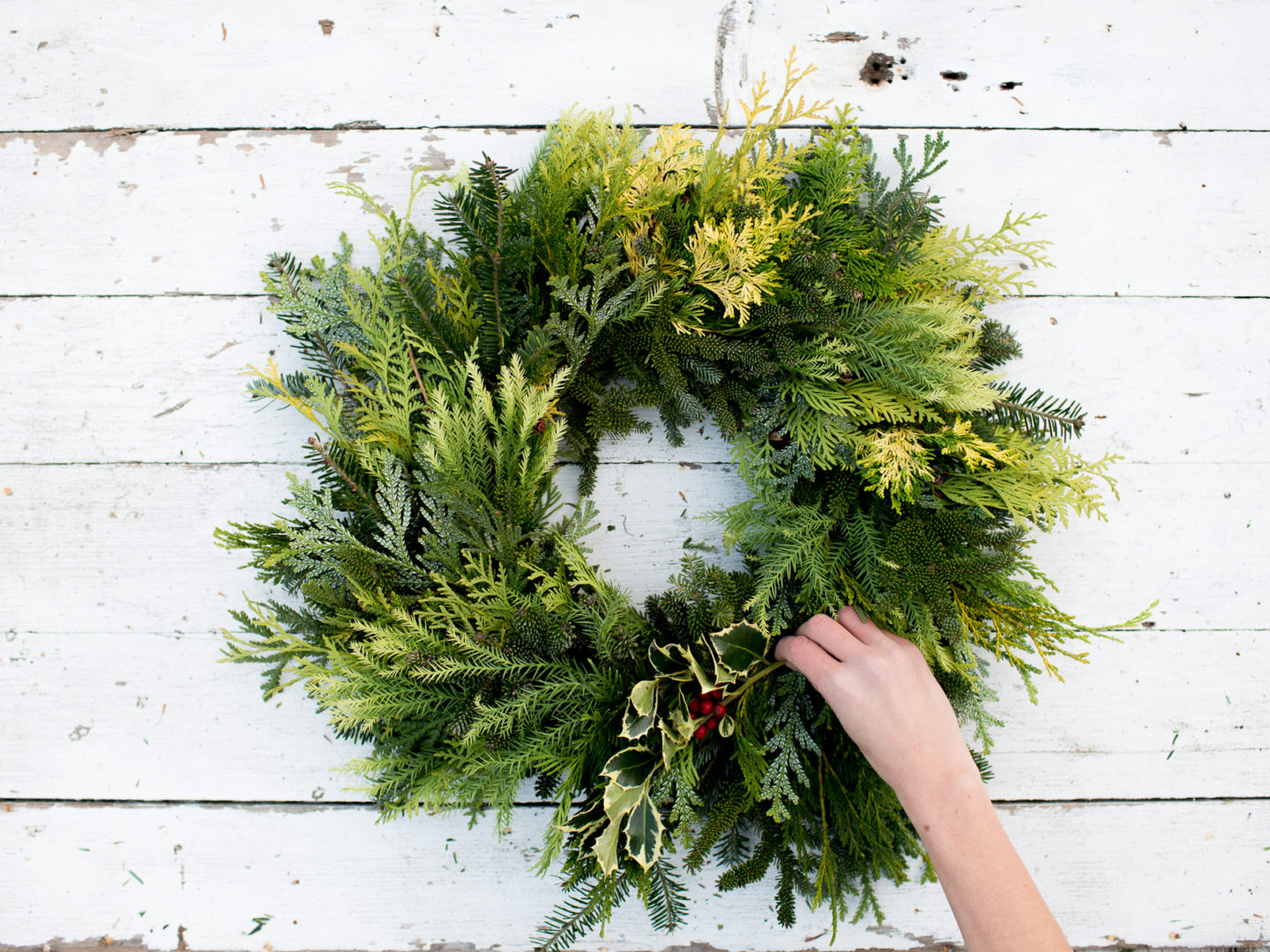 Foraged evergreen wreath