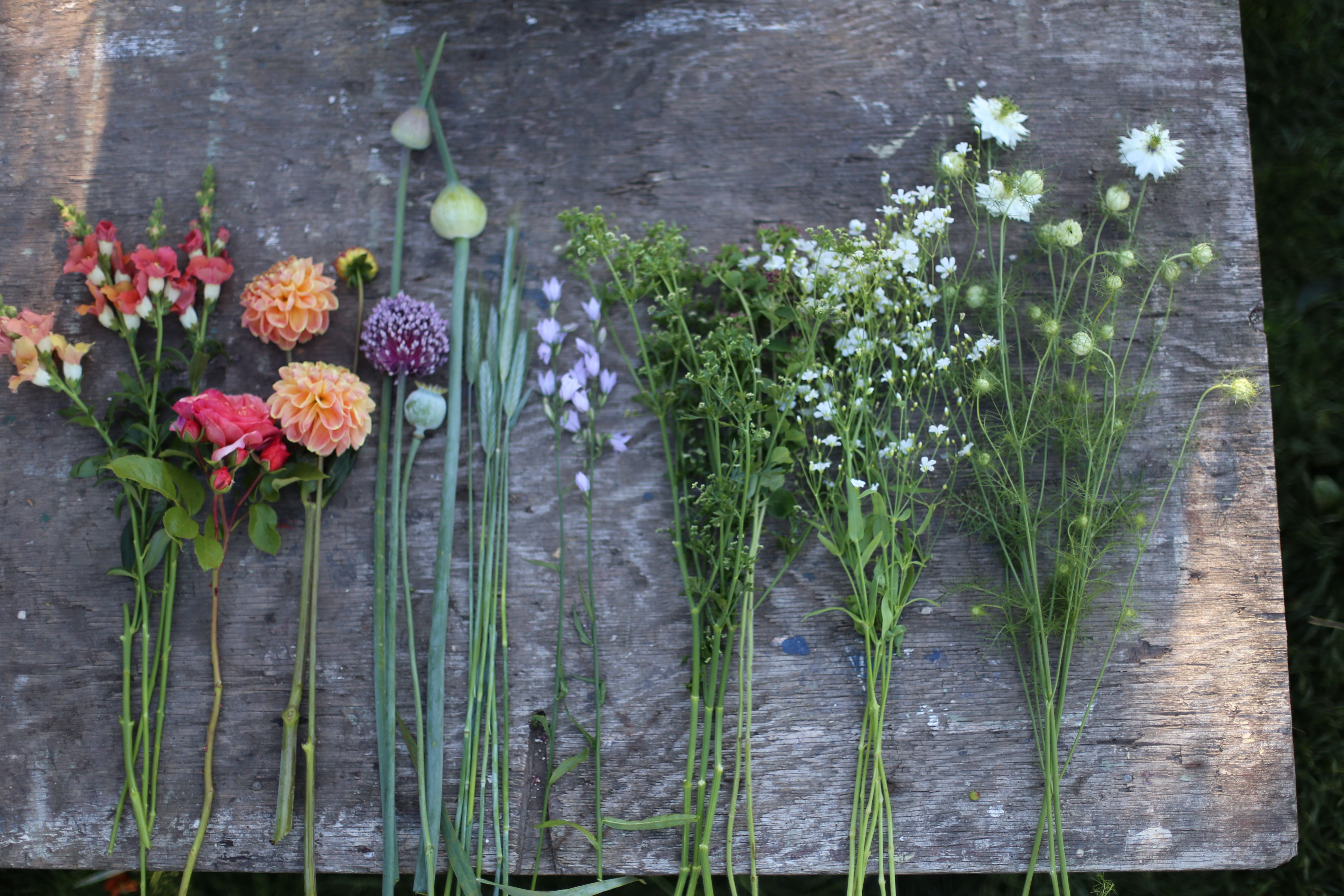 Flowers on a table