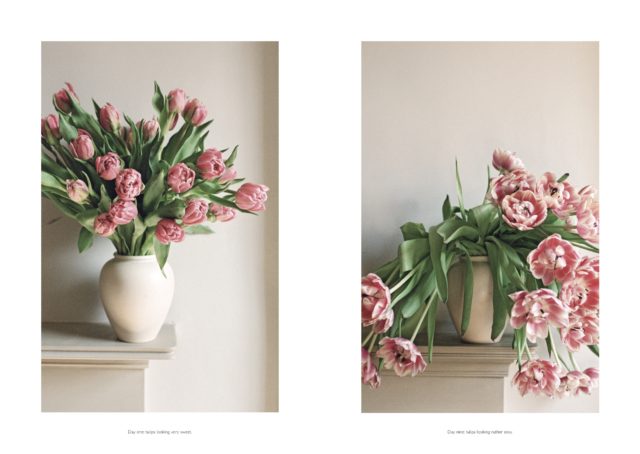 Amy Merrick On Flowers Book pg 122-123