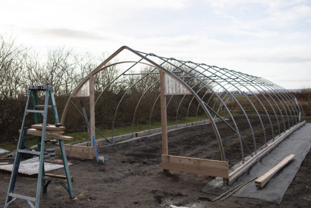 Farmers Friend Gothic Hoop House