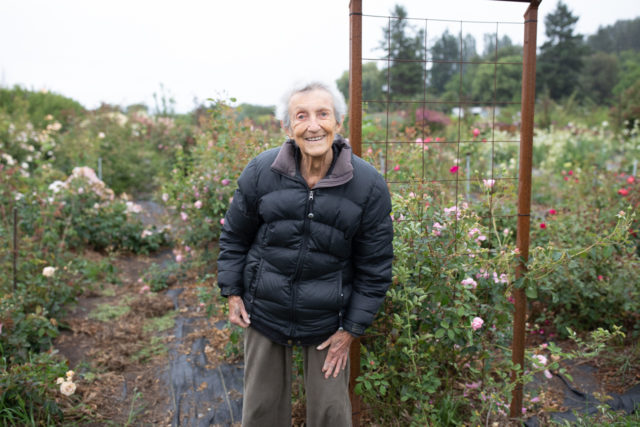 Anne Belovich visiting the roses at Floret