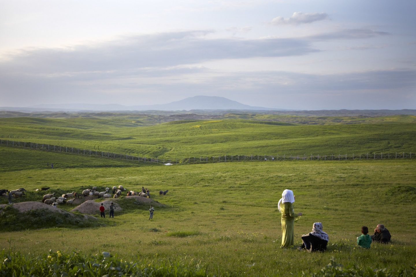 People and sheep with mountain in distance